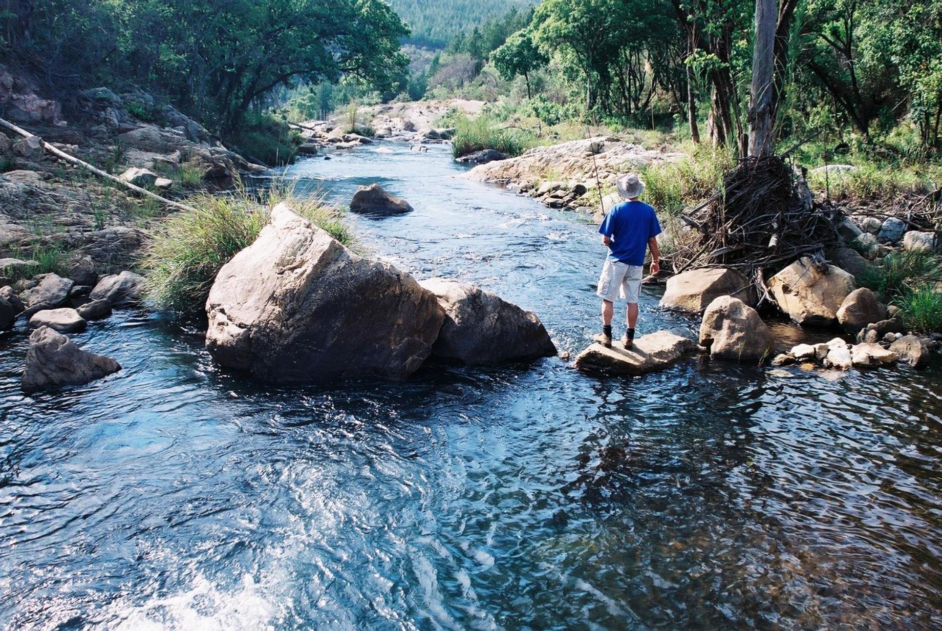 Magoebaskloof Hotel Tzaneen Kültér fotó